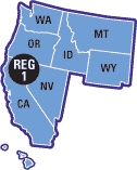 Region 1 detail