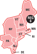 Region 6 detail